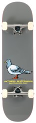 Anti-Hero Pigeon 8.25 Complete Skateboard